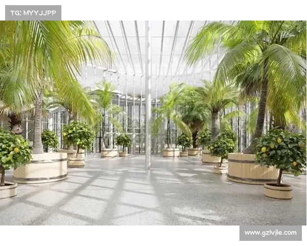 绿色中庭：开启无限精彩的策略世界